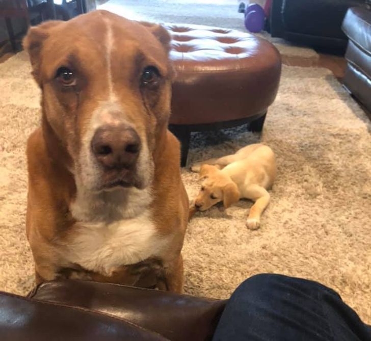 220d2e5725ad308da9bc90553e