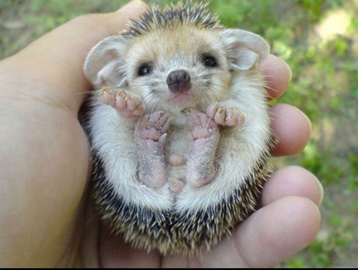 220eec5b9abb29557c6cee5fc5