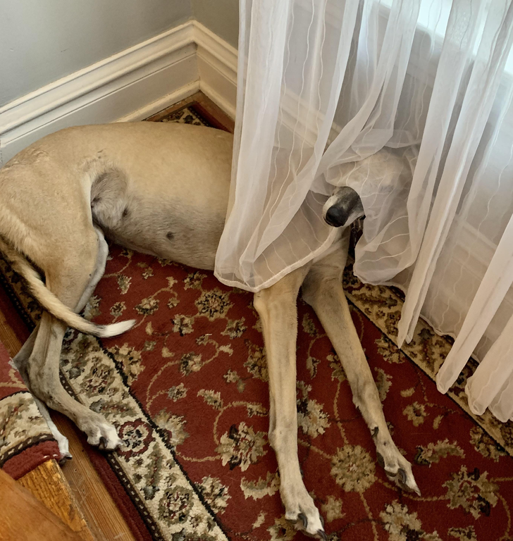 22148c52b8917d47493c9d2d7b