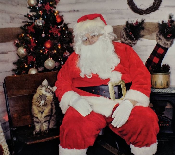 221edf5d029ffa73c26d1ab2d6