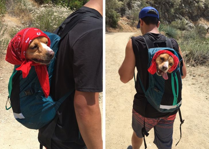 2224155bb2ae10f2e580aa4632