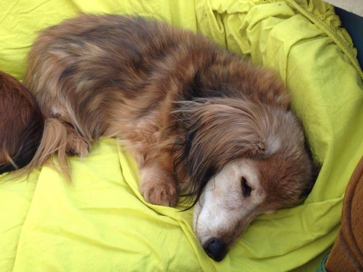 2224bc5ef7959d562a27c2b9db