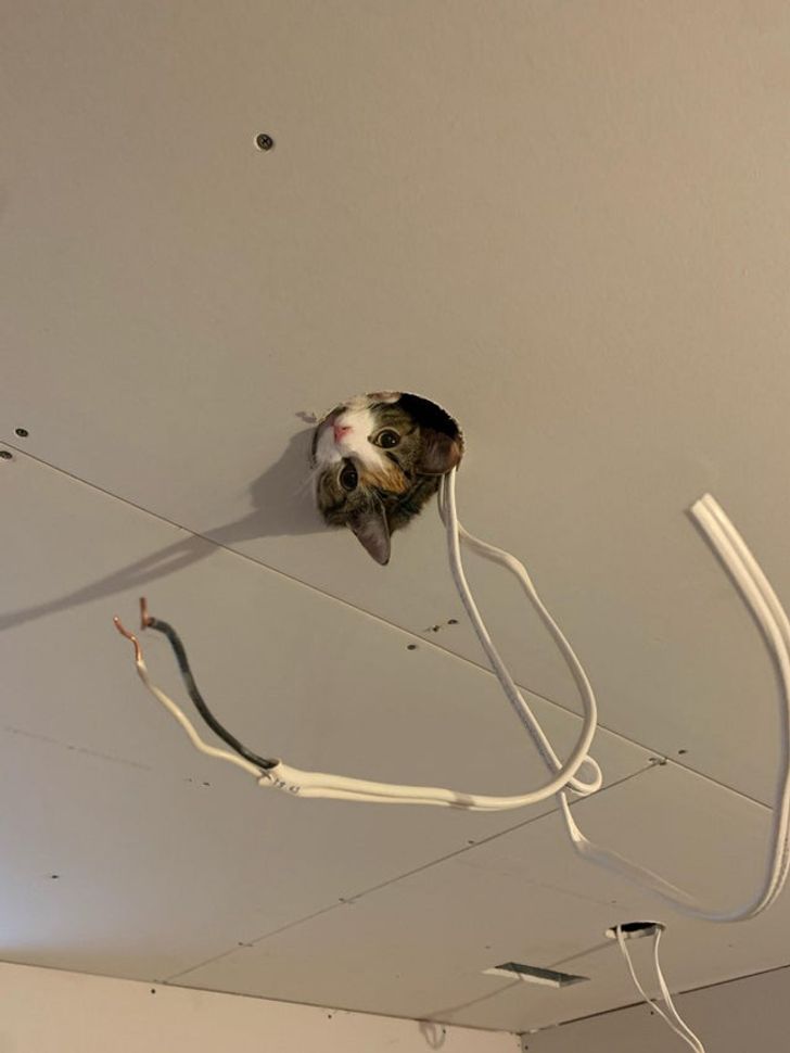 2227435de3af8ae724d003c209