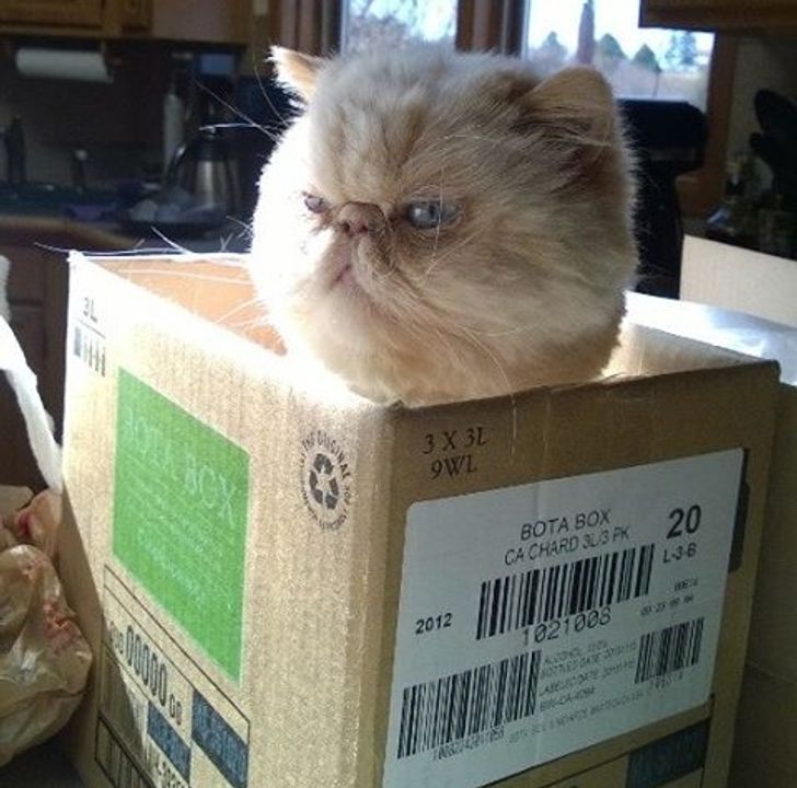 222af4553b98e885b904f47f5d