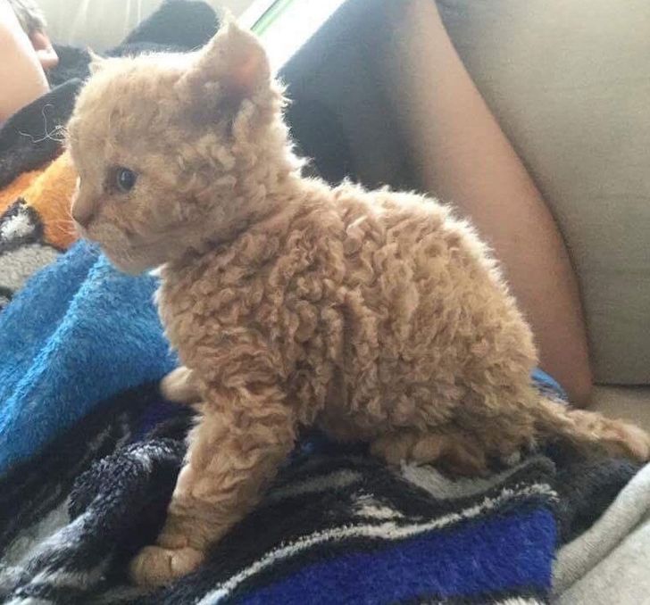 222cb8510db3582e5abc7b27d3