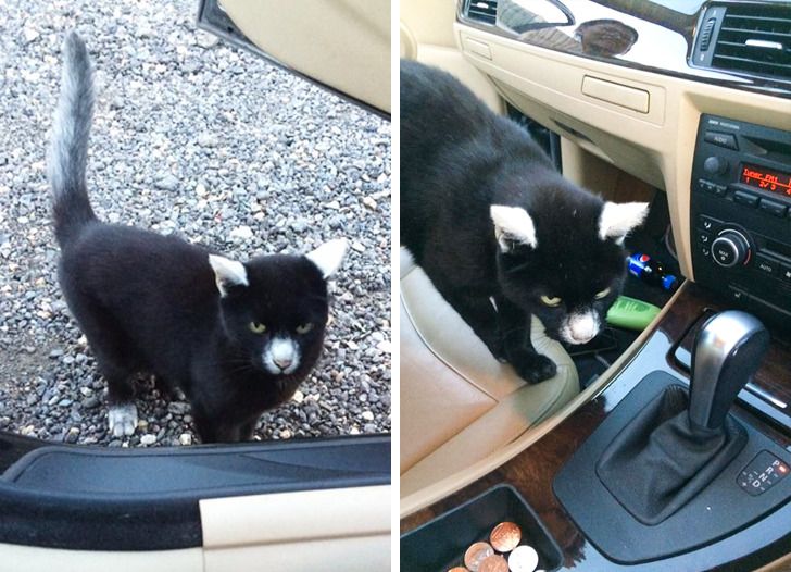 222e675485b39e82b3c15b800d