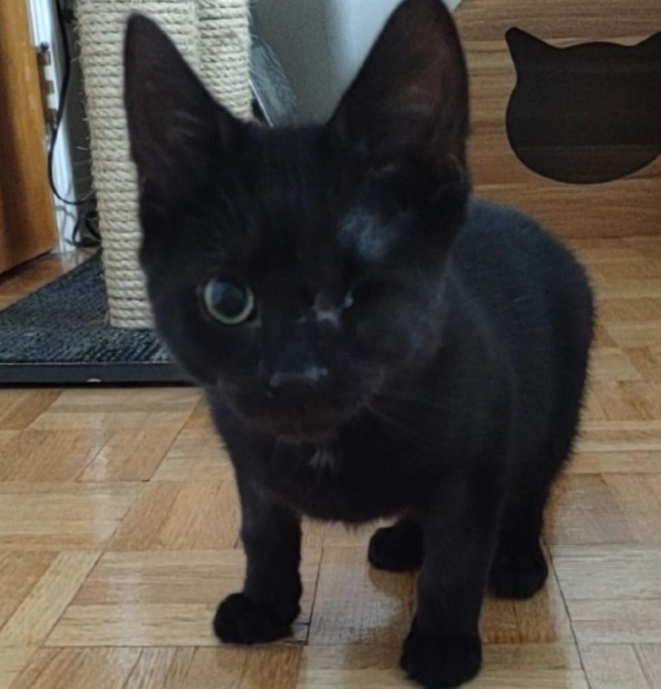 2230515f7a8c8f869e2a2972cf