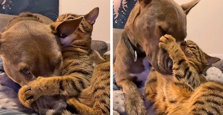 2231ab55ccab3d48e0ea9be73a