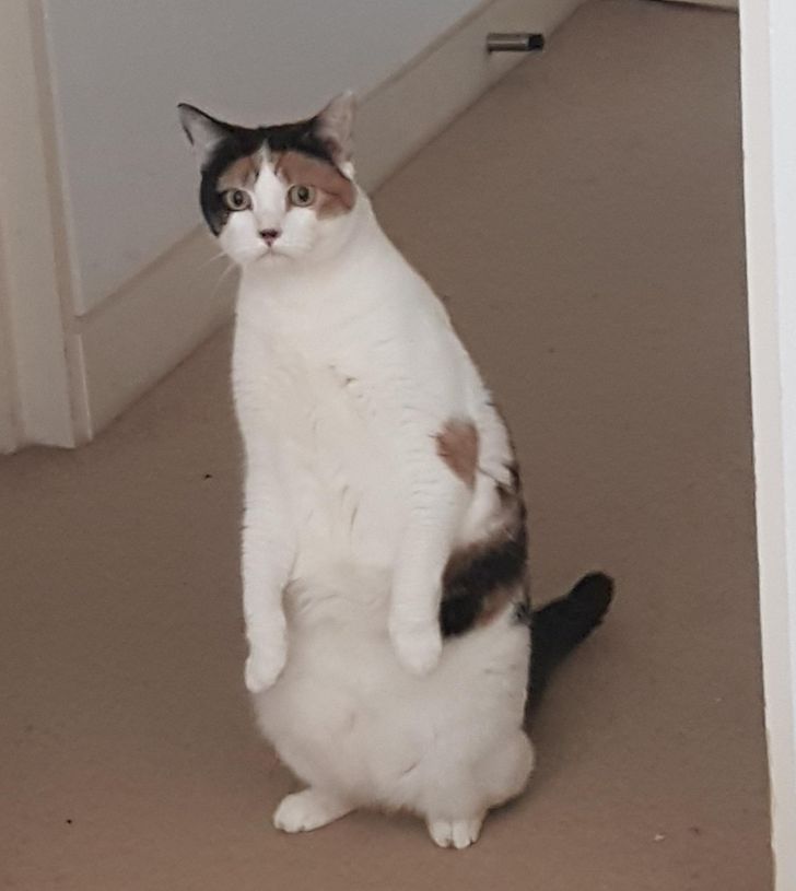 2233465599a182ede3a15a5f2d