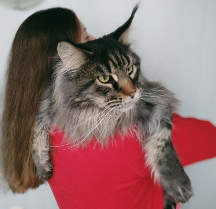 22346e50ae8db139313738152a