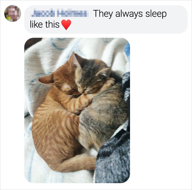 2237175b77bb42e29562f5f722