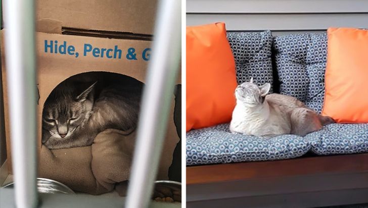 223d315d619dd08ef3029ff961