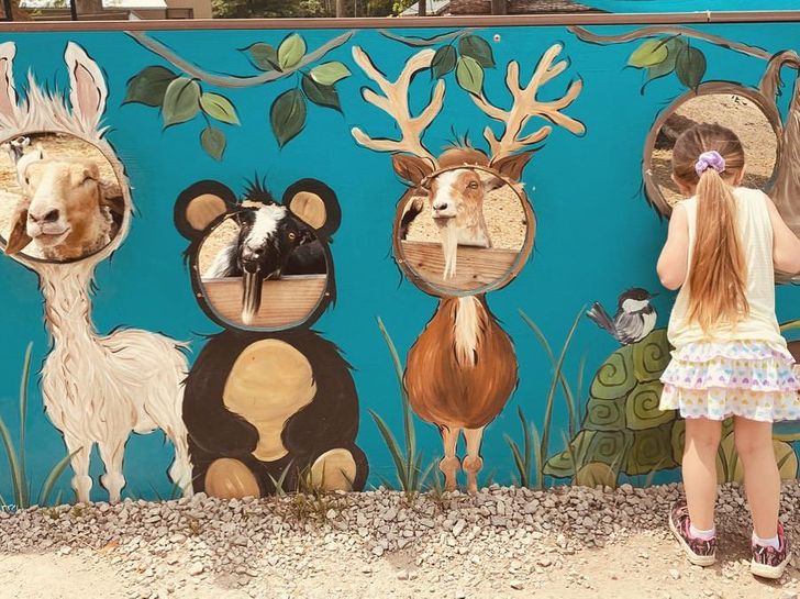 22486c55c4ad6f97d9ea284cab