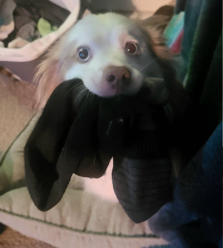 22520159f0b148c68294c00a36