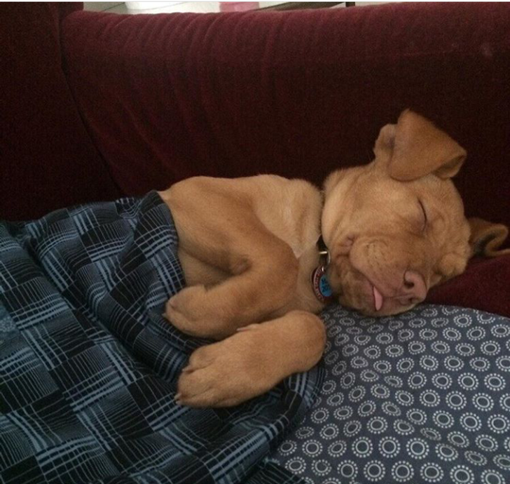 2262e053bebc0d5b6db7b392c5