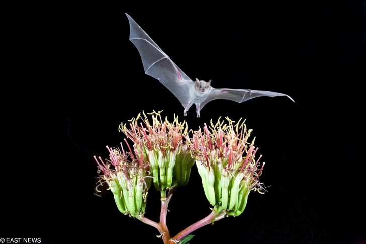 226b595603a8163590183715b9