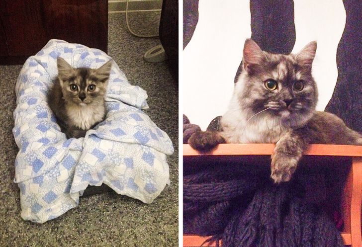 226ba7529a845c9cbd3ceb2e40