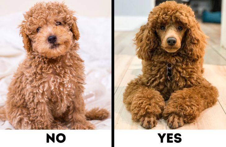 226bca5b068e09b9def793de94