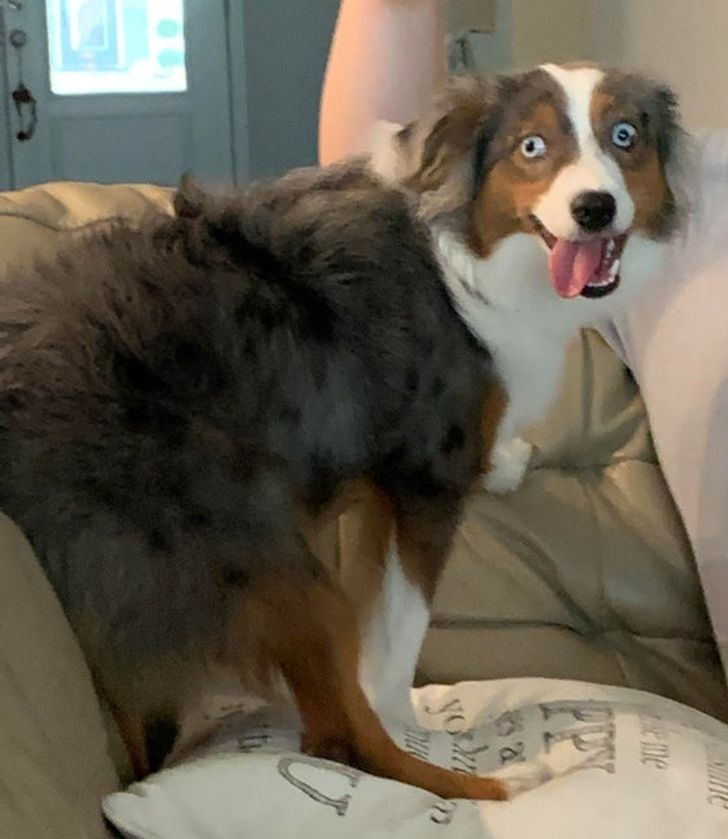 227240555e9595f30189d405d7