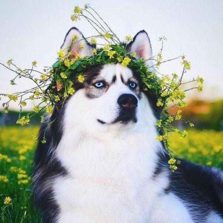 227af45a15abe4cd87265e90c7