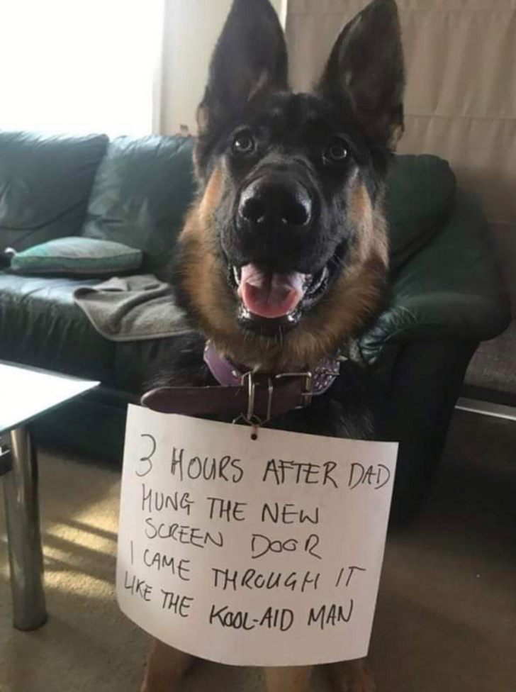 227da459ad9781c5469f9cb823