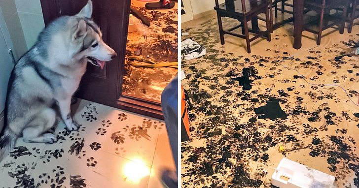 2283f15d539f83599877510b02