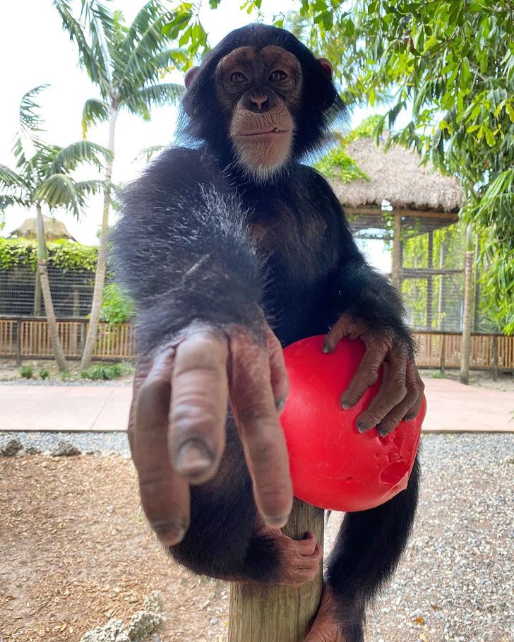 228b335524a3c923db8c4c4b19