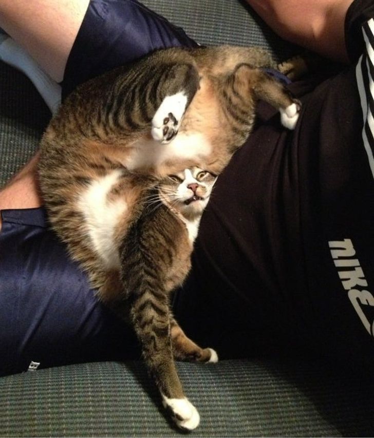 228cea5a529d5249c7c1903da8