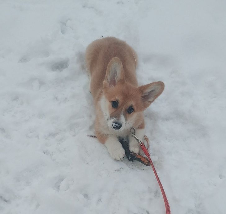 228f59533da68e617a7bdf60bc