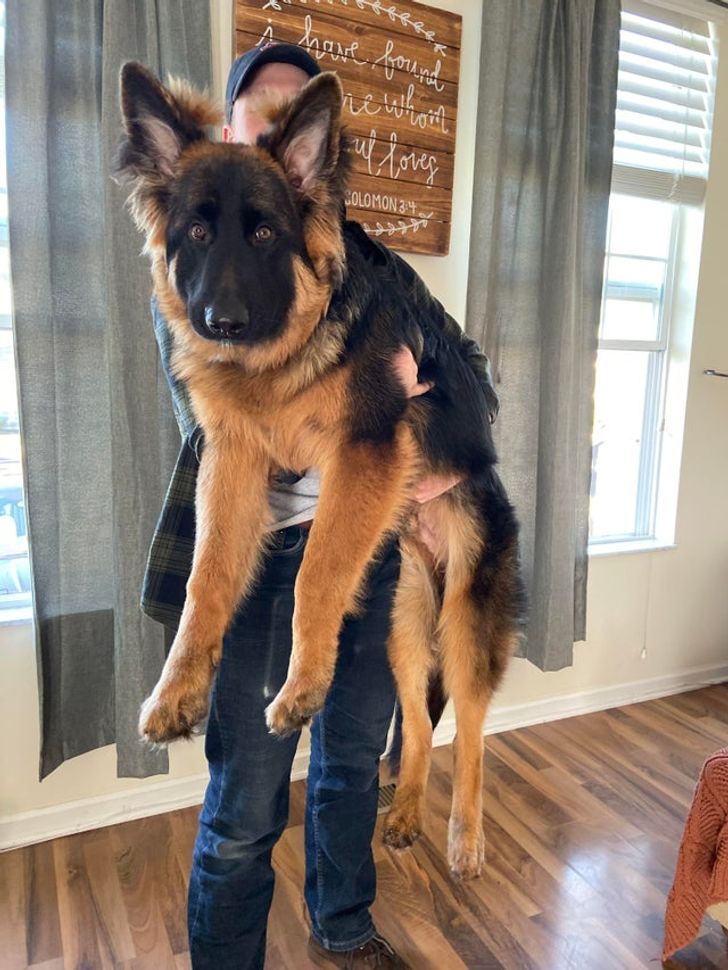 22902e5fe38f97783fc9d6cabd