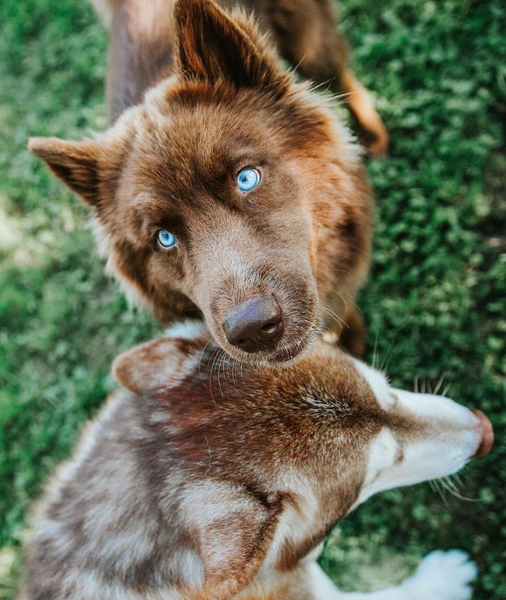 2290cd5272a6d360e02d4c7da2