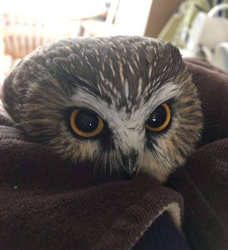 22919255e09d0e2a8d9bb2d530