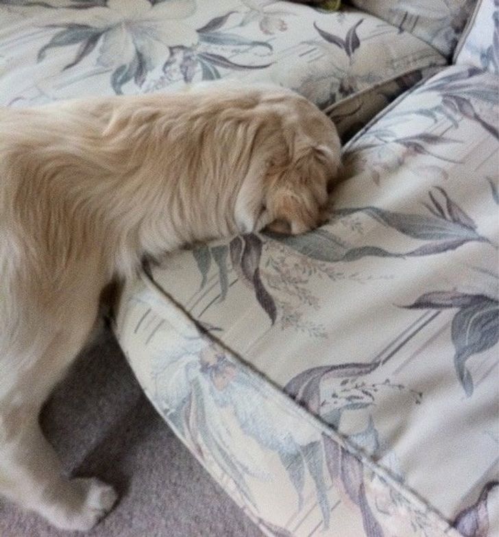 2292e954fba4edcc264b95b03d