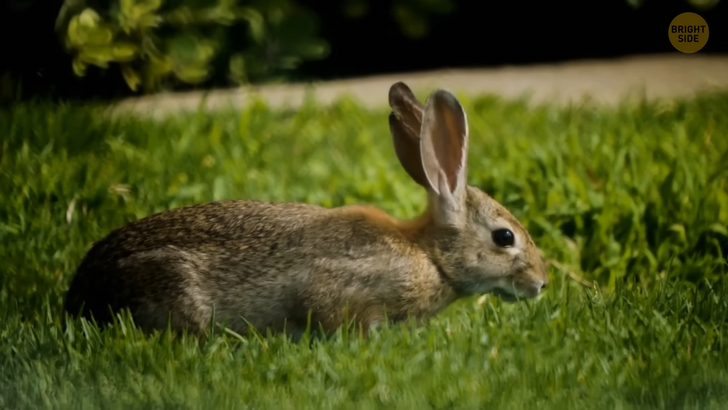 22956c5416b4468e93067aa8d1