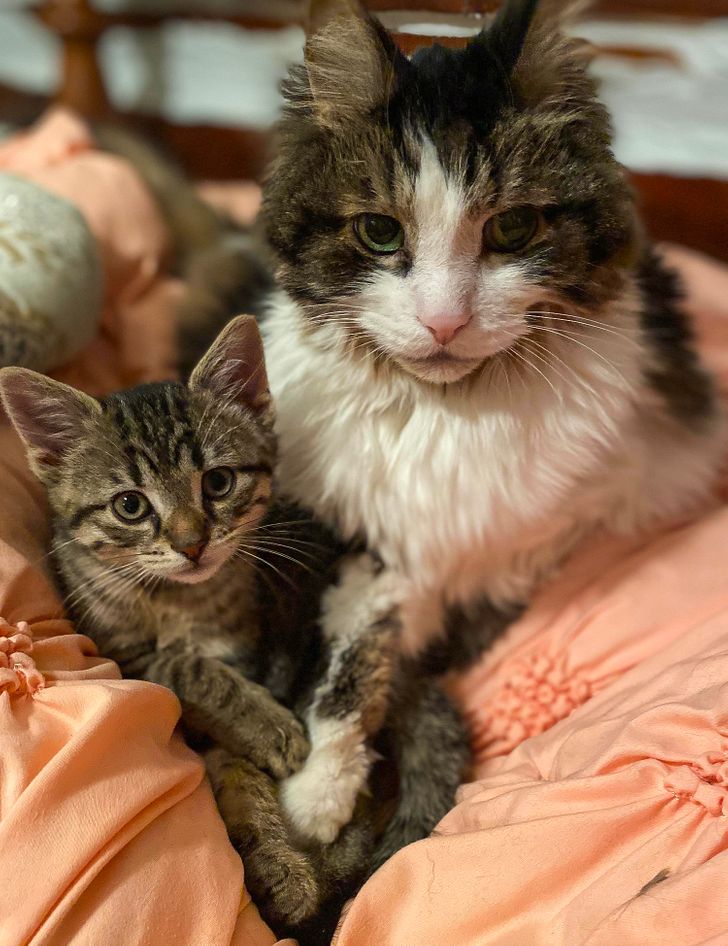 2296715299bb55db1354bdf5ce 2296715299bb55db1354bdf5ce