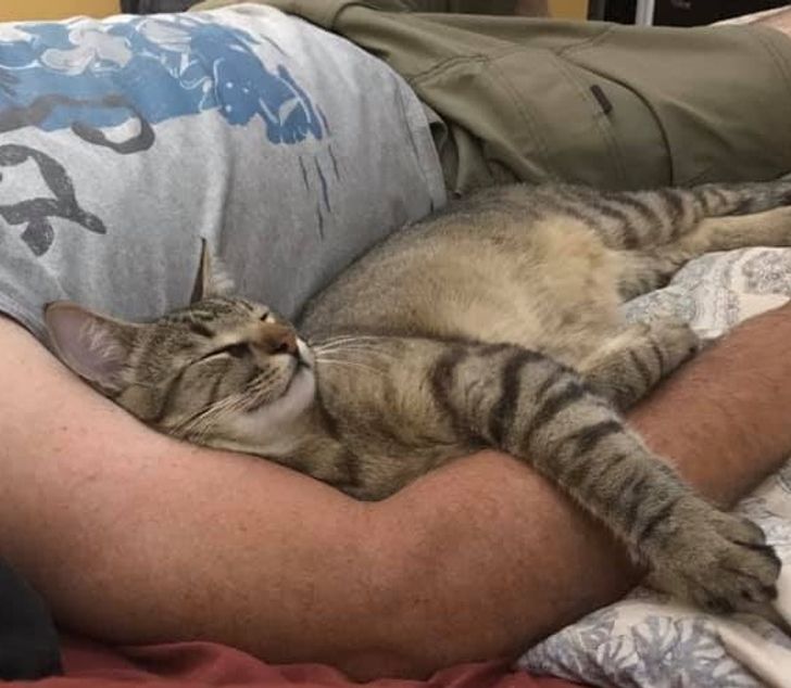 2297435d29a45fa861b3451a53