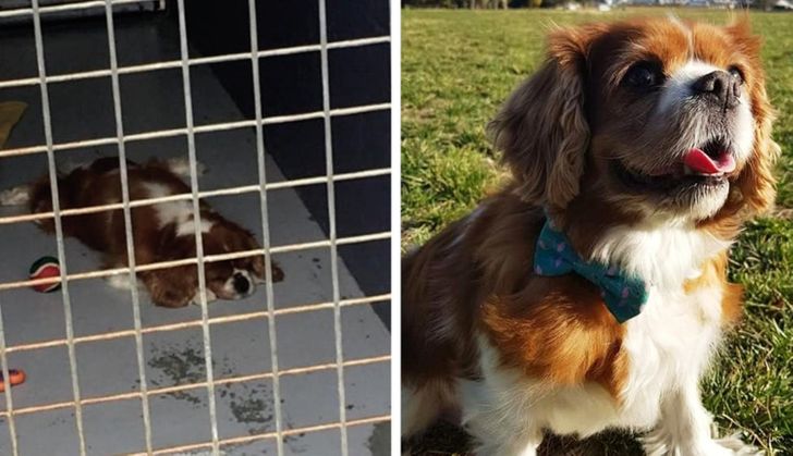 22a0035a58b9f78958a5af0b21