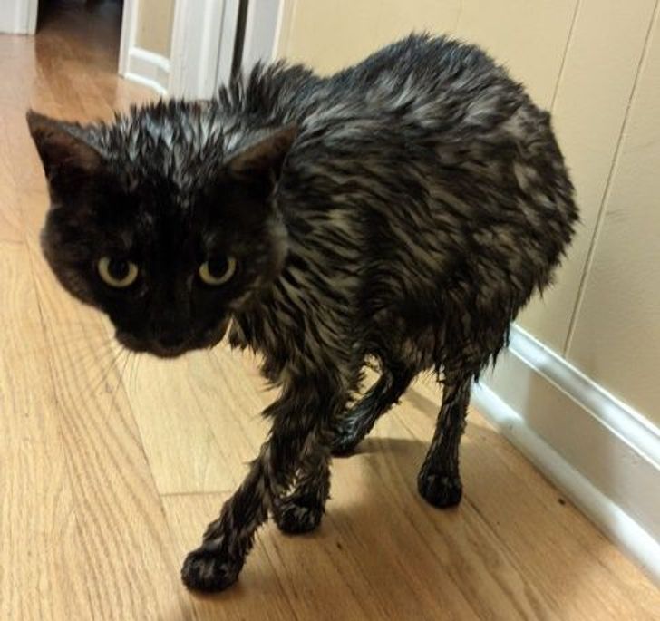 22a49f54cfa871b4829bb9aa05