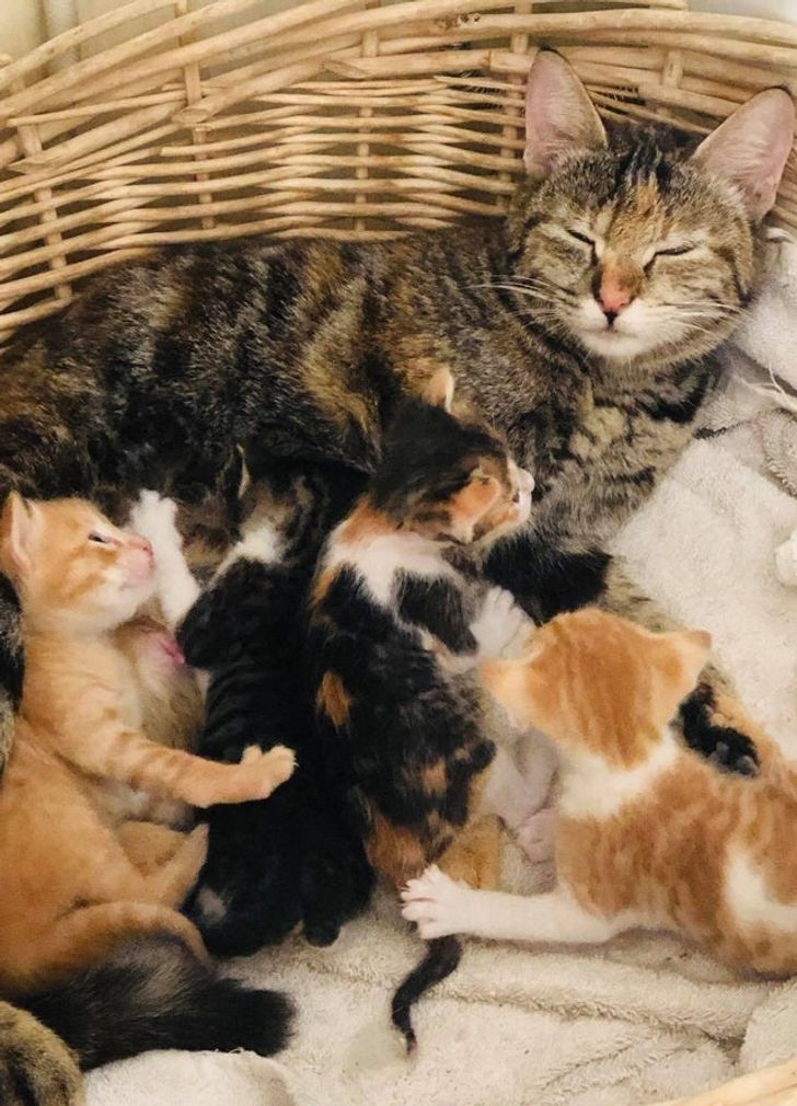 22a65d56978521891defae3c70