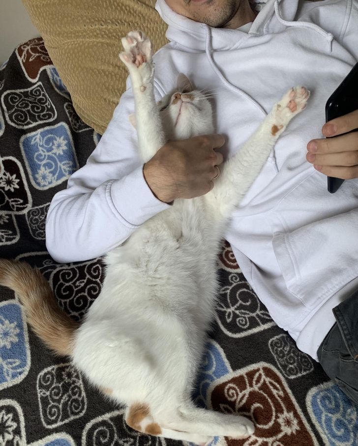 22acd956f3b0b22ffc05e7e705 22acd956f3b0b22ffc05e7e705