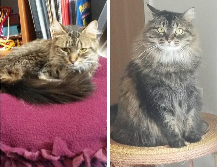 22b0f75dbdbf27d8590bdf6cad