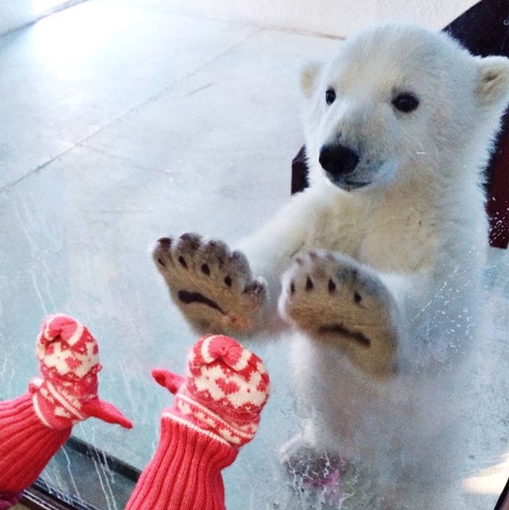 22b72e57778f98178981994f10