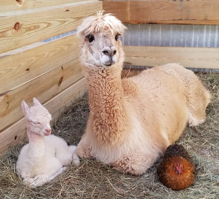 22bc295b68bf6e8c5a934d6d68