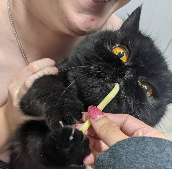 22c99558e4bd22b3b4e43741b1