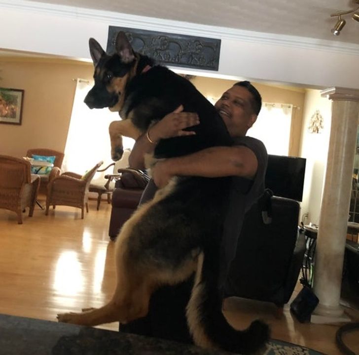 22d9a65724a69f4c92290010b4