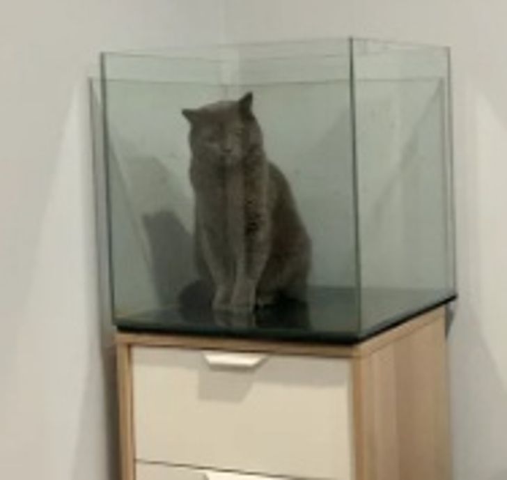 22daa45d86887dab2689b6a753