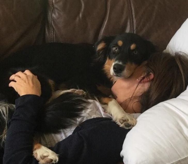 22e3a45f3faa13e373bee1261d