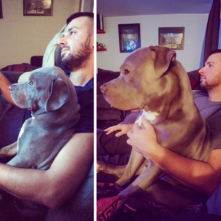 22e5f157e4a546c8fb6fbc2cb8