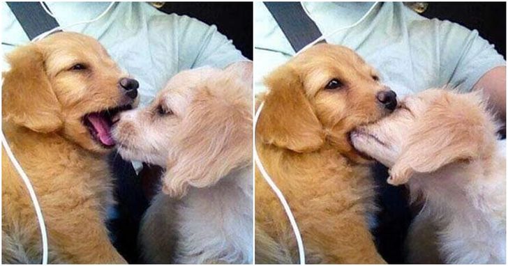 22e69d5c09b1b9972ec8f79c5f