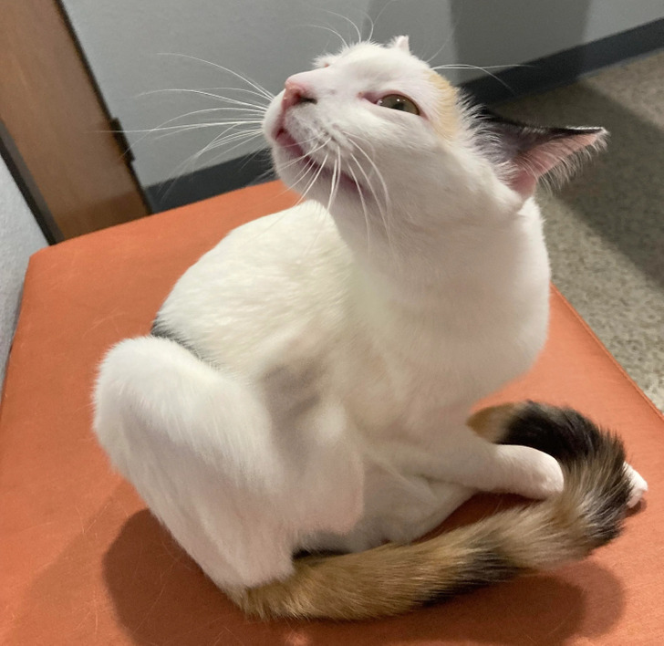 22e83855d58a4286d2db8d8f25